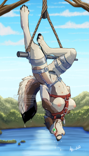 ahro ahrosart anthro bdsm bondage bound breasts canid canine canis chastity_belt chastity_device collar female harness hi_res lake mammal multiple_(disambiguation) nipples scenery solo suspension water wet wolf // 1095x1900 // 1.5MB