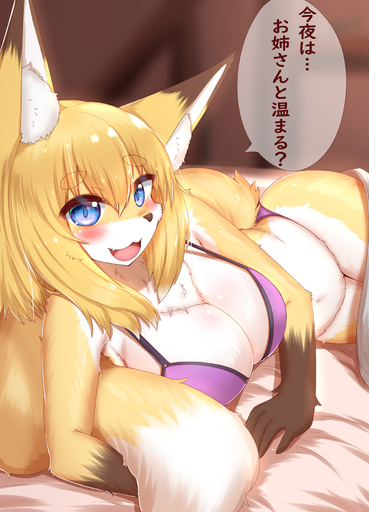 2021 5_fingers anthro bed big_breasts blonde_hair blue_eyes blush bra breasts brown_body brown_fur brown_nose canid canine chest_tuft cleavage clothed clothing cute_fangs dialogue dipstick_ears dipstick_tail female fingers fluffy fox fur furniture gloves_(marking) hair hi_res horokusa0519 huge_breasts inner_ear_fluff japanese_text kemono looking_at_viewer mammal markings multicolored_body multicolored_ears multicolored_fur multicolored_tail on_bed open_mouth panties short_hair solo speech_bubble tail_hug talking_to_viewer text tongue translation_request tuft under_covers underwear white_body white_fur yellow_body yellow_fur // 1350x1875 // 1.3MB