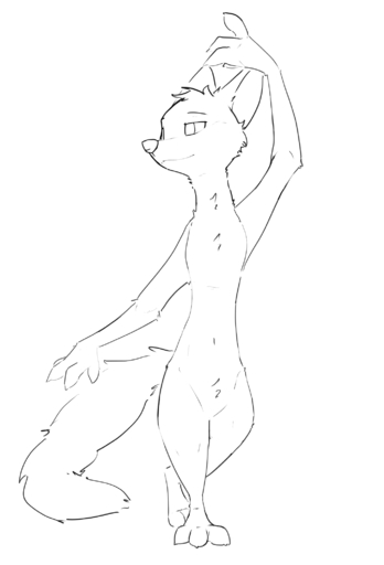 ambiguous_gender anthro black_and_white canid canine claws featureless_crotch fox head_tuft hi_res mammal monochrome nude sketch solo standing toe_claws tuft zhanbow // 1418x2085 // 213.9KB