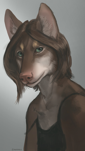 2018 anthro brown_body brown_fur brown_hair canid canine canis clothed clothing digital_media_(artwork) domestic_dog female fur green_eyes hair hi_res looking_at_viewer mammal off_shoulder shwonky simple_background solo // 800x1407 // 932.0KB