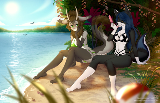 anthro black_nose breasts brown_eyes canid canine canis clothed clothing day detailed_background digital_media_(artwork) domestic_dog dragon duo female grass green_eyes hi_res hybrid mammal midriff navel outside plant sand shaded sheenny sitting sky sun water // 1603x1034 // 2.1MB
